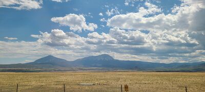 20240904_133311.jpg