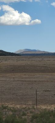 20240904_152601.jpg
