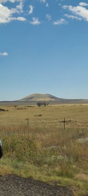 20240904_153342.jpg