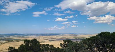 20240904_155011.jpg
