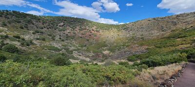20240904_155413.jpg