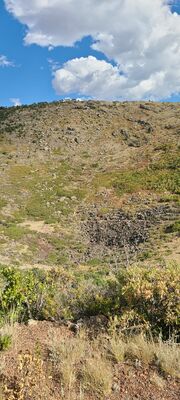 20240904_160259.jpg