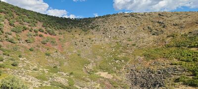 20240904_160303.jpg