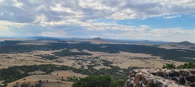 20240904_160630.jpg