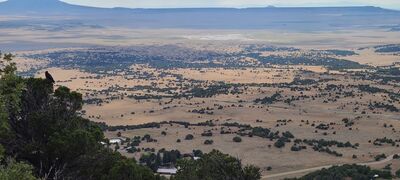 20240904_160742.jpg