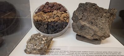 20240904_162721.jpg