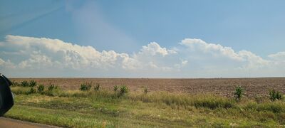 20240905_144449.jpg