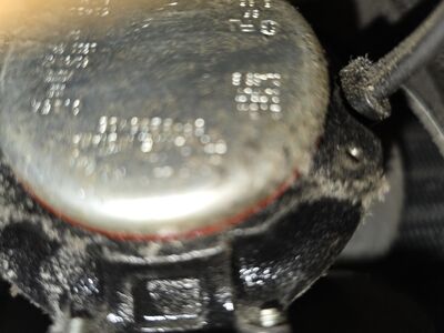 20241101_135246.jpg