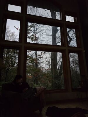 20241110_172257.jpg