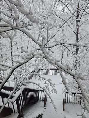 20250216_121827.jpg