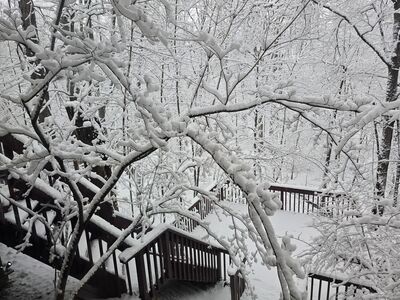 20250216_121847.jpg