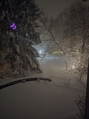20250216_201655.jpg