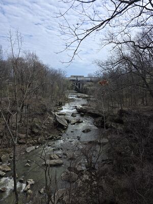 20250413_151641.jpg