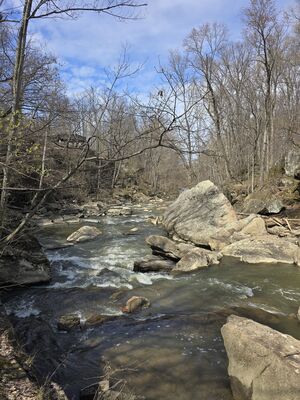 20250413_153444.jpg