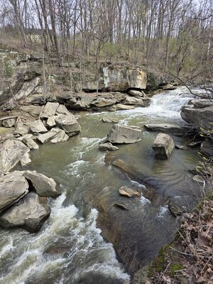 20250413_154204.jpg