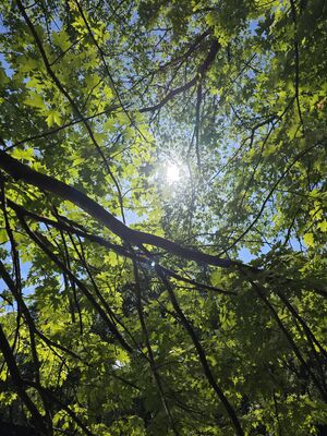 20250526_161735.jpg