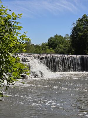 20250526_162254.jpg