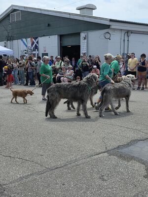 20250628_121545.jpg