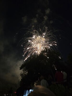 20250704_220549.jpg