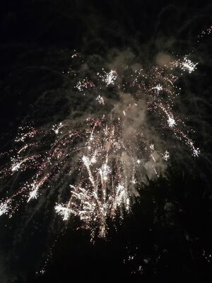 20250704_220553.jpg