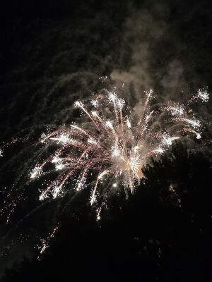 20250704_220559.jpg