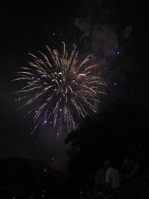 20250704_221727.jpg