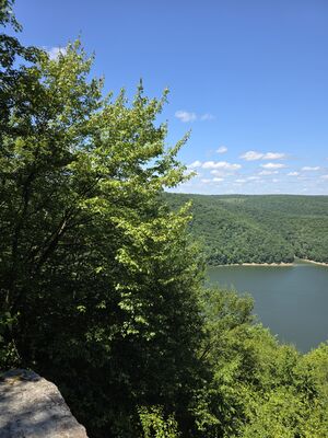 20250719_131035.jpg