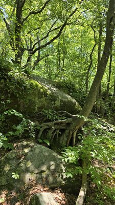 20250719_132519.jpg