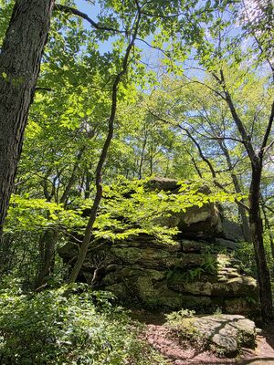 20250719_132918.jpg
