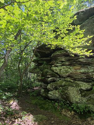 20250719_132940.jpg