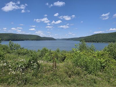 20250719_140029.jpg