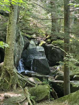 20250719_142504.jpg