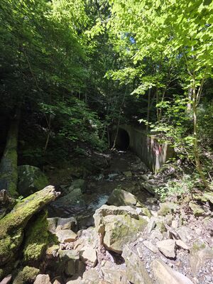 20250719_143102.jpg