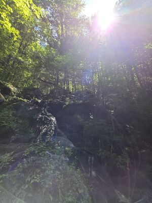 20250719_143252.jpg