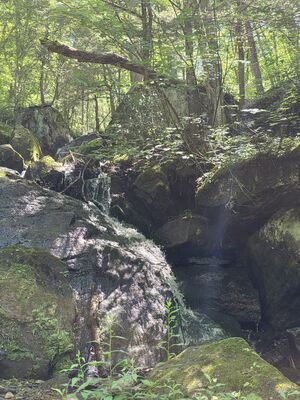 20250719_143335.jpg