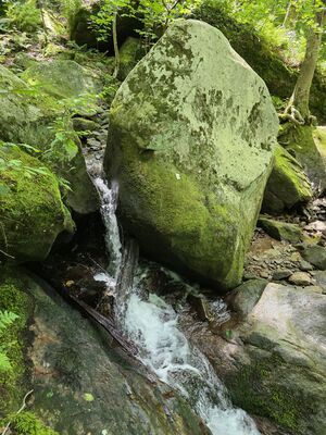 20250719_144610.jpg