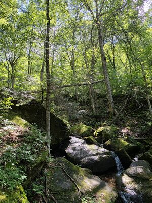 20250719_144919.jpg