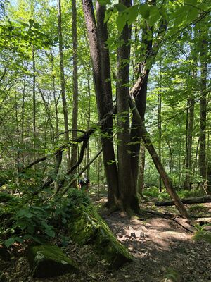 20250719_145550.jpg