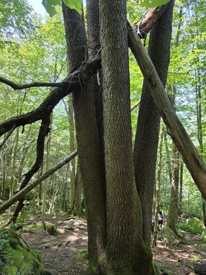 20250719_145606.jpg