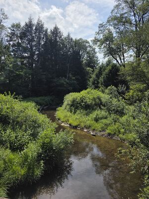 20250719_162704.jpg
