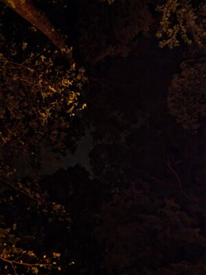 20250719_230743.jpg