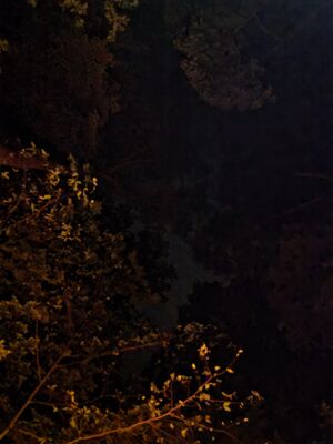 20250719_230815.jpg