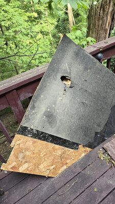 20250727_175407.jpg
