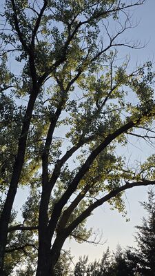 20250821_200148.jpg