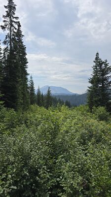 20250827_135802.jpg