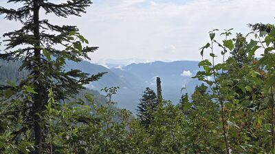 20250827_140808.jpg