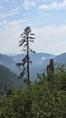 20250827_140909.jpg