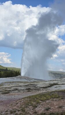 20250829_171732.jpg