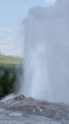 20250829_171838.jpg