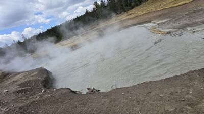 20250830_130435.jpg